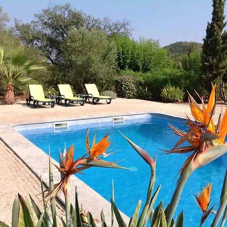Konukevi Fazendinha - - Spacious And Tranquil 3*