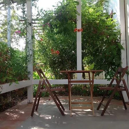 Fazendinha - - Spacious And Tranquil