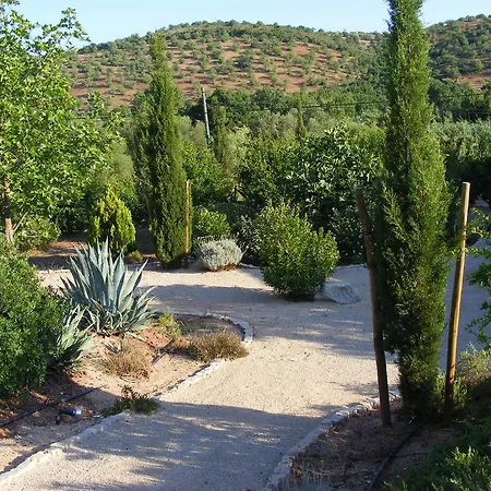 בית הארחה Fazendinha - - Spacious And Tranquil 3*