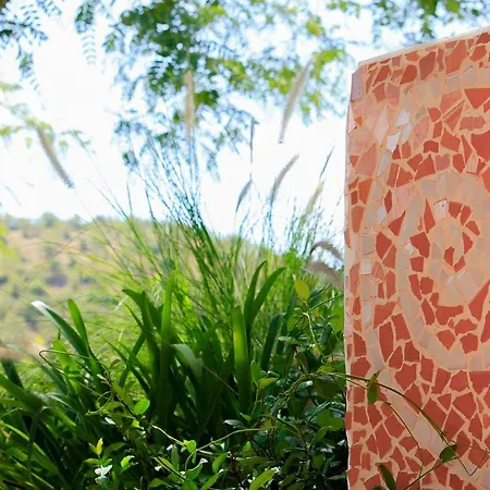 Fazendinha - - Spacious And Tranquil טאווירה