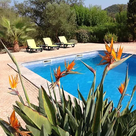 Penzion Fazendinha - - Spacious And Tranquil