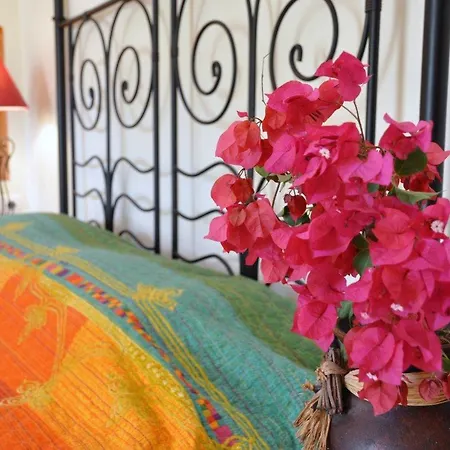 Fazendinha - - Spacious And Tranquil 3* 塔维拉