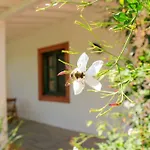 Fazendinha - - Spacious And Tranquil Vendégház